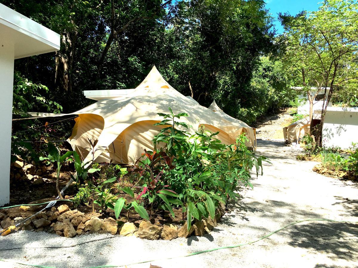 Driftwood Glamping & Boutique Hotel Playa Guiones エクステリア 写真