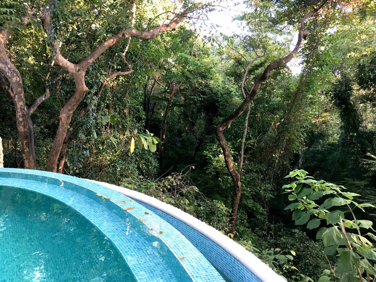 Driftwood Glamping & Boutique Hotel Playa Guiones エクステリア 写真