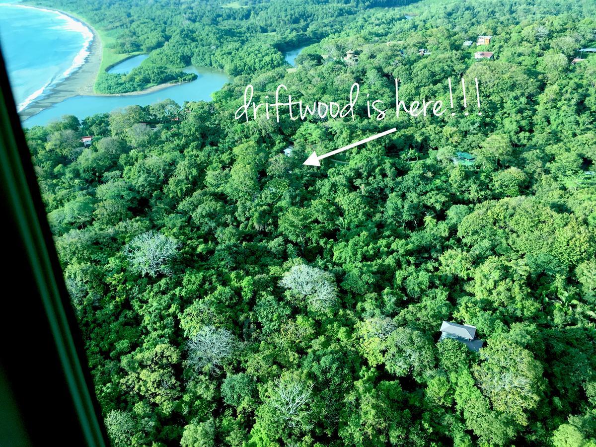 Driftwood Glamping & Boutique Hotel Playa Guiones エクステリア 写真