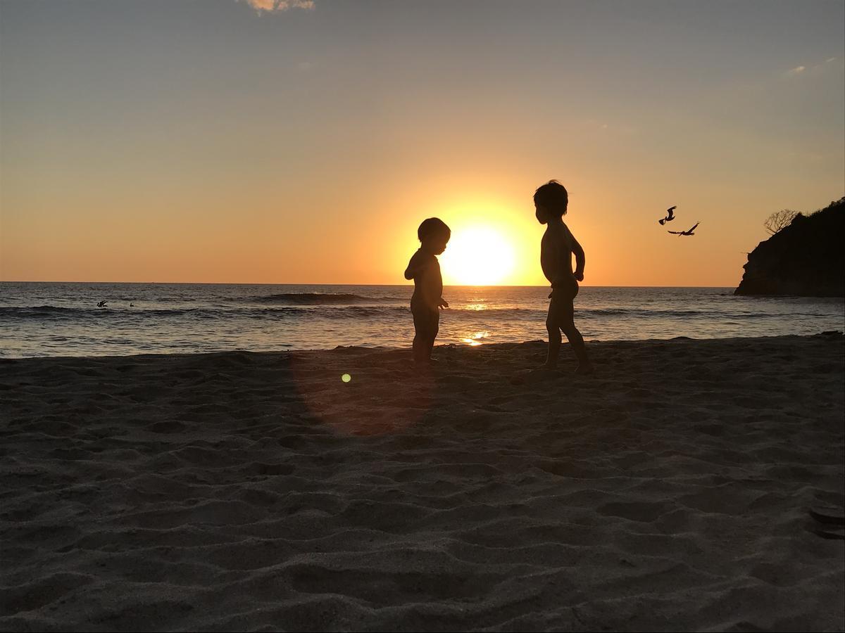 Driftwood Glamping & Boutique Hotel Playa Guiones エクステリア 写真