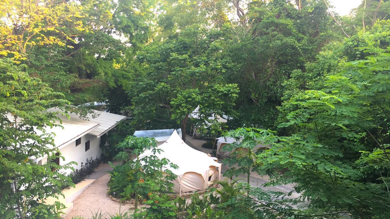 Driftwood Glamping & Boutique Hotel Playa Guiones エクステリア 写真