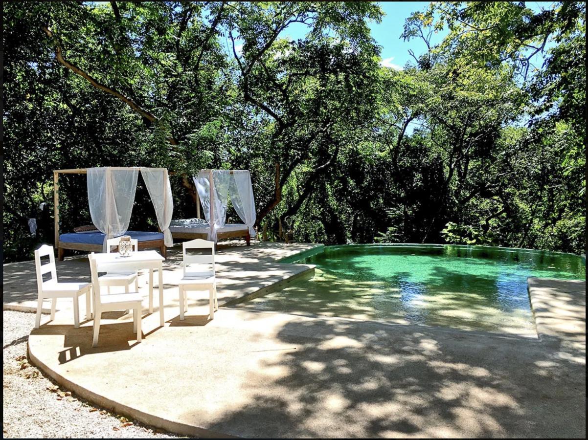 Driftwood Glamping & Boutique Hotel Playa Guiones エクステリア 写真