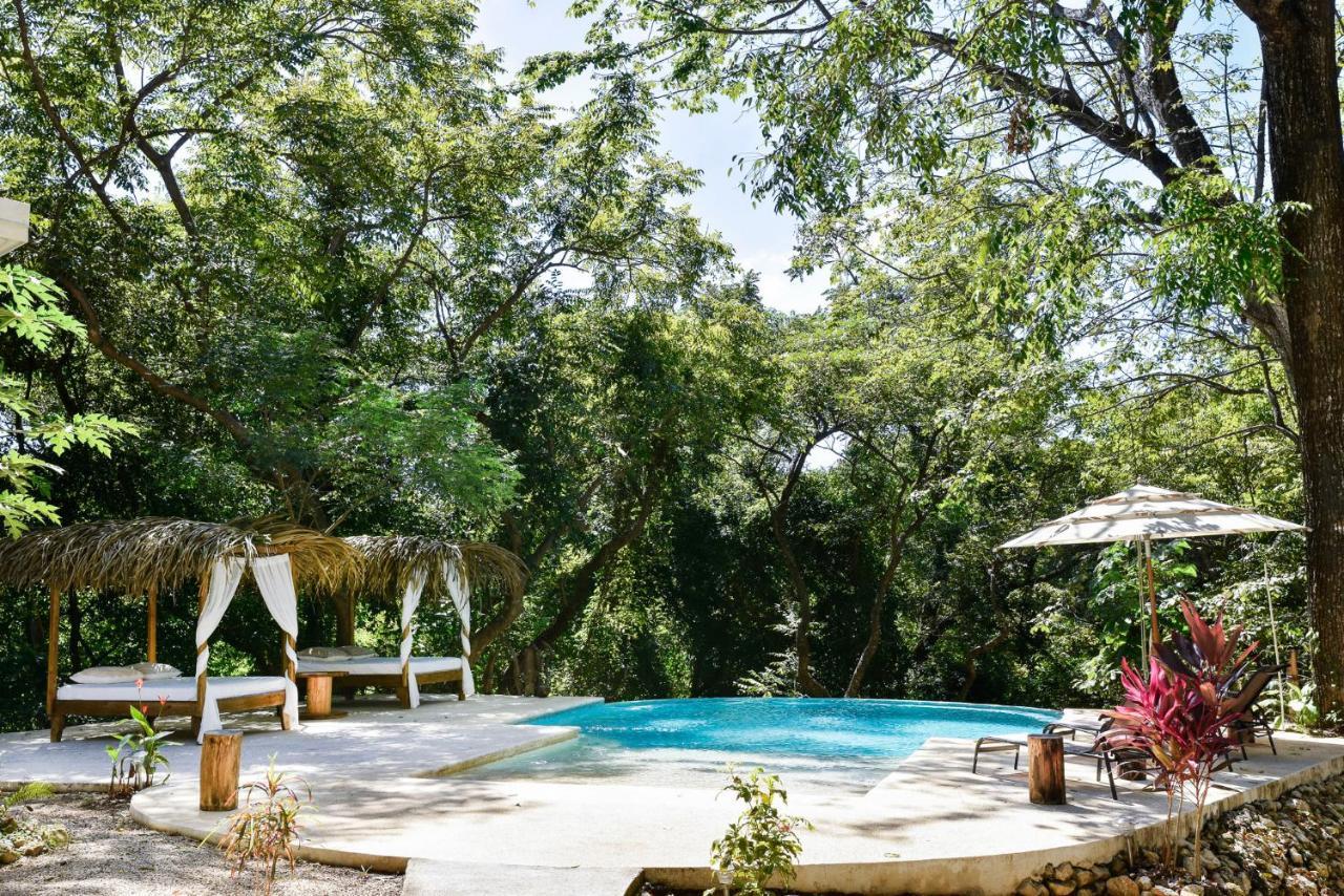 Driftwood Glamping & Boutique Hotel Playa Guiones エクステリア 写真
