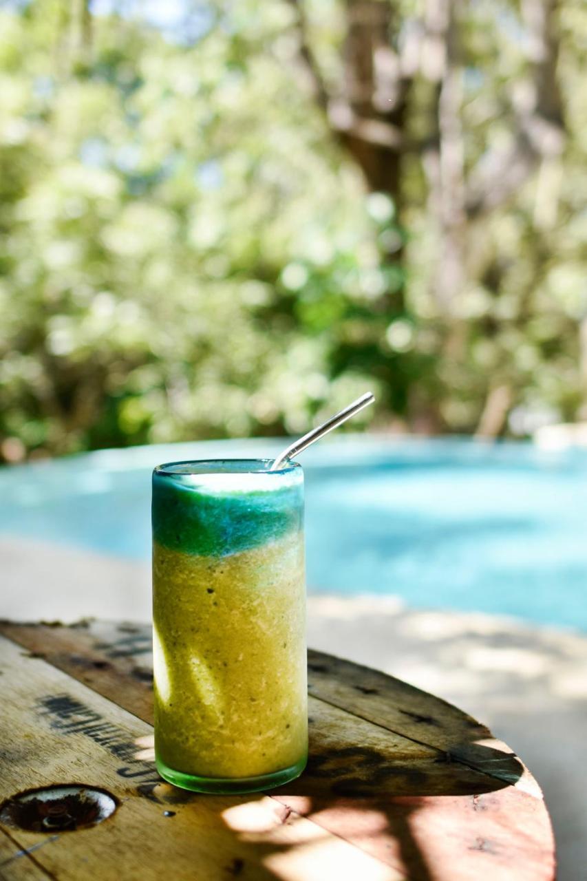 Driftwood Glamping & Boutique Hotel Playa Guiones エクステリア 写真