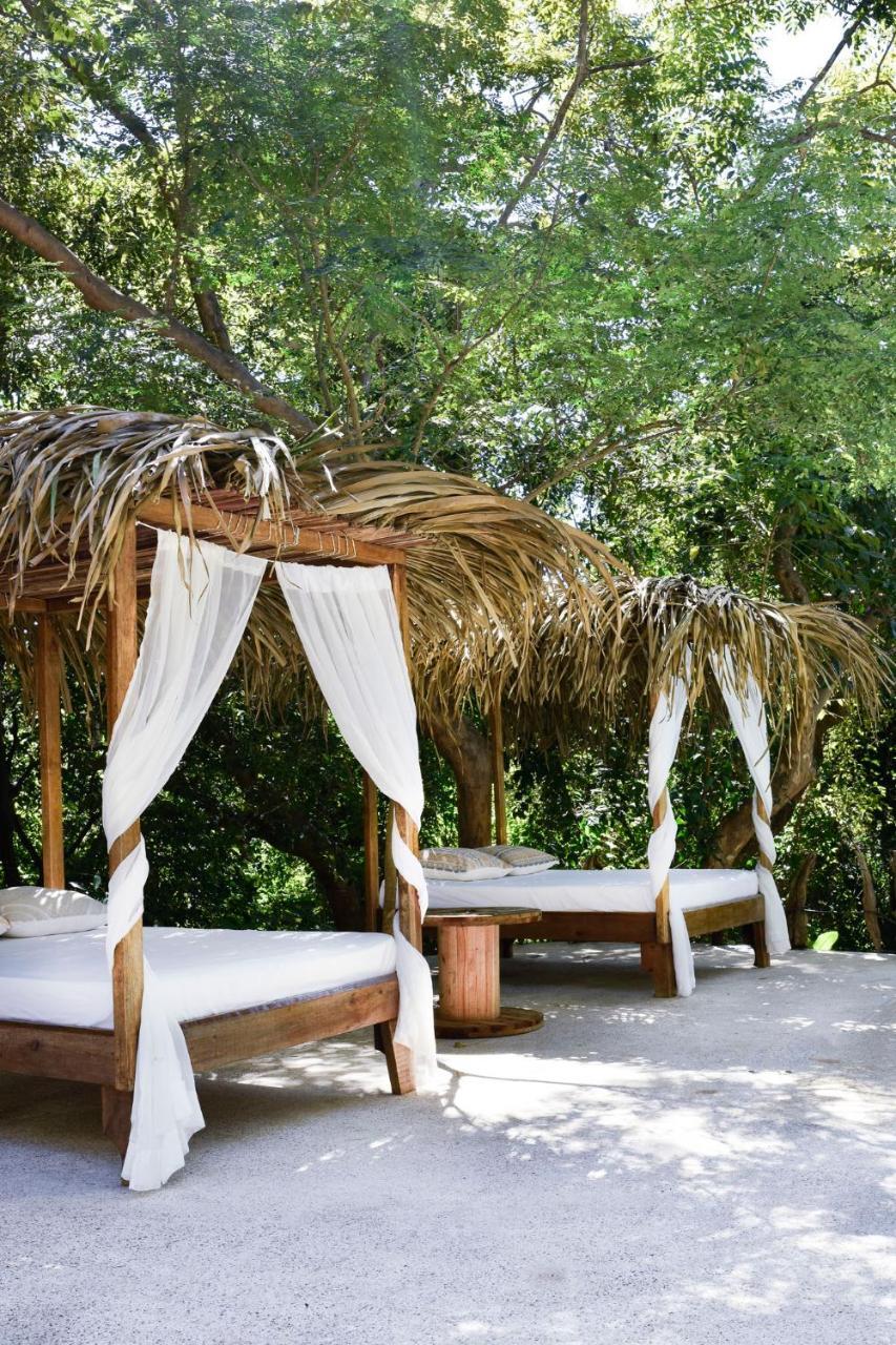 Driftwood Glamping & Boutique Hotel Playa Guiones エクステリア 写真