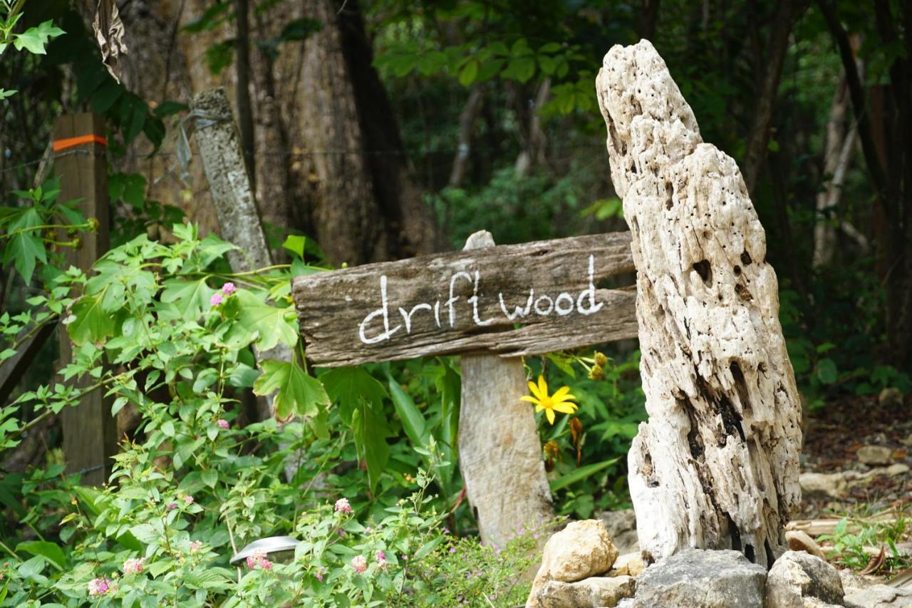 Driftwood Glamping & Boutique Hotel Playa Guiones エクステリア 写真