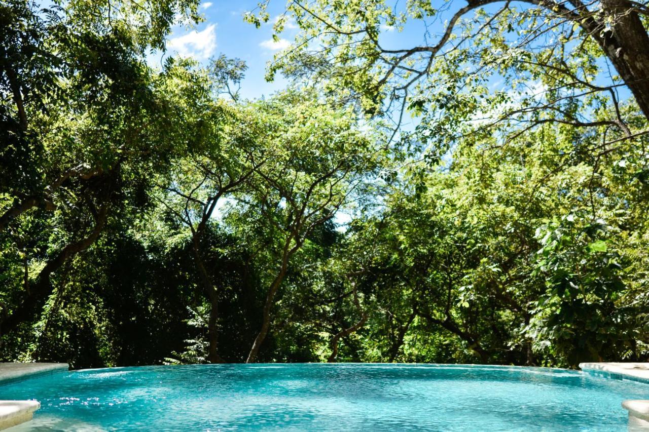 Driftwood Glamping & Boutique Hotel Playa Guiones エクステリア 写真
