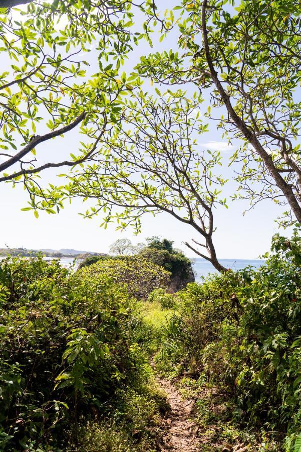 Driftwood Glamping & Boutique Hotel Playa Guiones エクステリア 写真