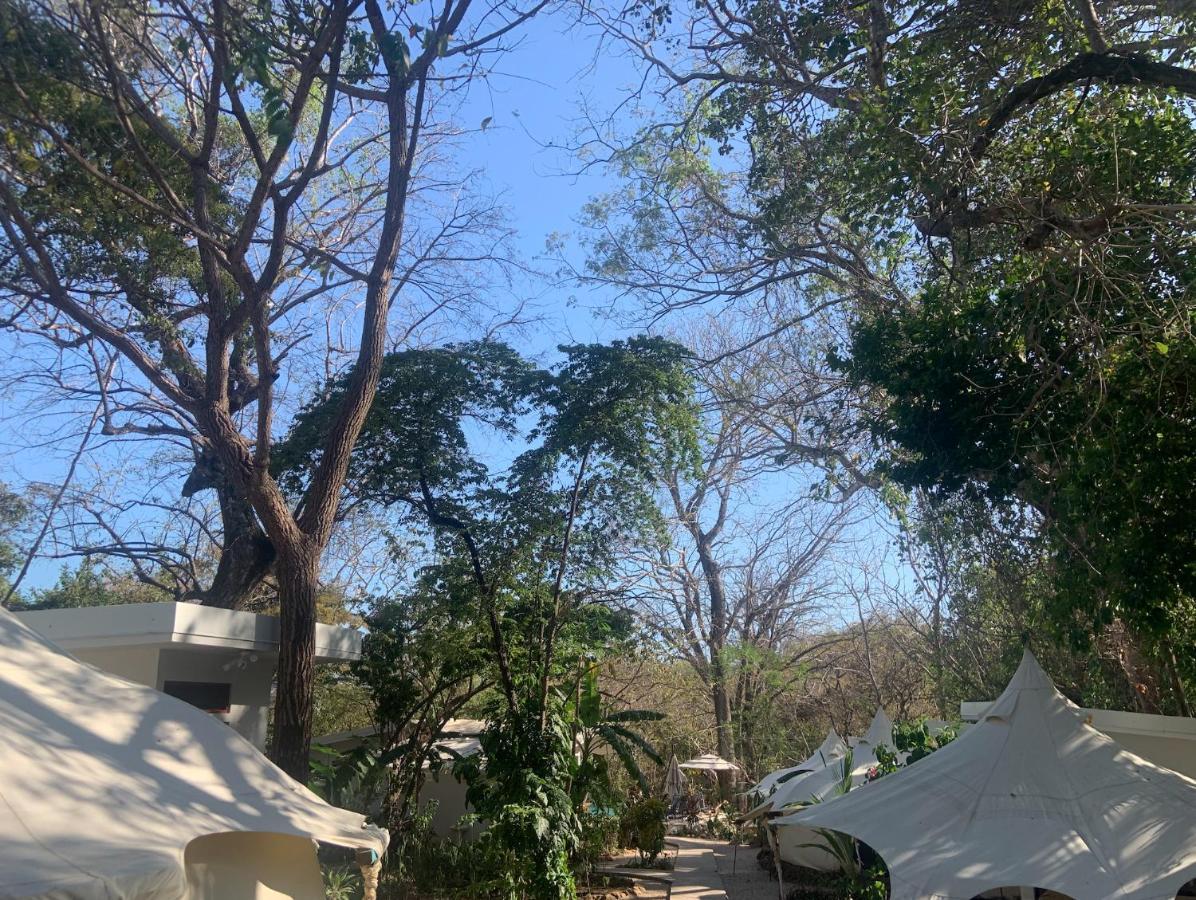 Driftwood Glamping & Boutique Hotel Playa Guiones エクステリア 写真